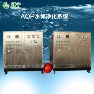 aop 羟基自由基发生器 废水消毒AOP一体机设备