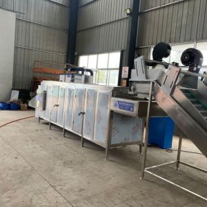 多层网带烘干线 红枣当归无花果干清洗烘干机械 预制菜辅助设备