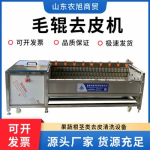 毛辊清洗机 土豆生姜洋姜清洗脱皮机 猪头猪耳朵清洗设备坚固耐用