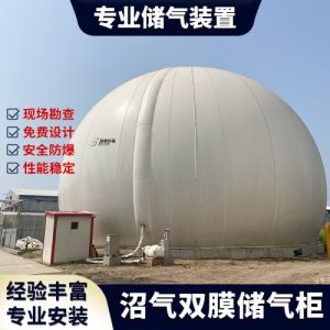 500方双膜气柜 污水处理厂食品厂双膜储气柜 一体化沼气储气柜