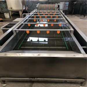 全自动果蔬气泡清洗机 葡萄干清洗风干流水线