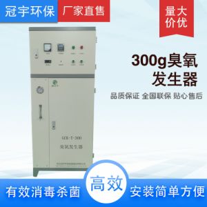 300g空气型臭氧发生器大风量水冷型用于净化车间，无尘车间 医药可定制