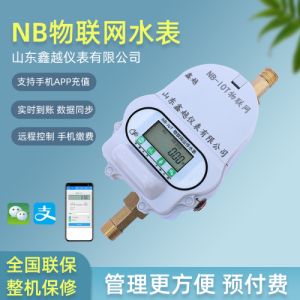 NB远传大口径水表 无线远 传水 表厂家 物联网远程控制