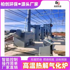 柏创 供应农村生活垃圾焚烧炉 20吨生活垃圾热解气化焚烧成套设备 焚烧炉