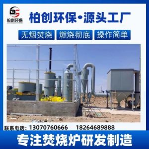 5吨生活垃圾焚烧炉 偏远乡镇垃圾高温热解气化炉 景区垃圾焚烧炉
