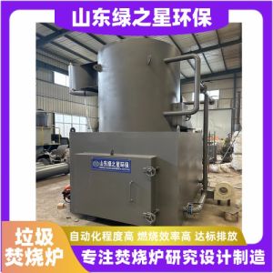 小型垃圾焚烧炉 新款垃圾热解焚烧炉 定制生活垃圾焚烧炉