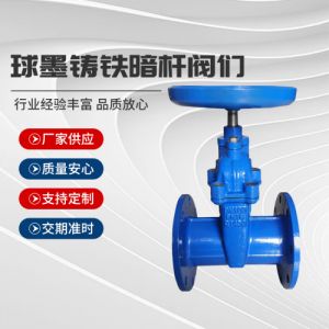 Z45X-16Q双法兰闸阀 软密封手动球墨铸铁暗杆阀 阀门 DN100