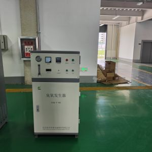 淡水鱼虾养殖设备 冠宇高浓度臭氧发生器 GYY-T-100 养殖水净化除藻