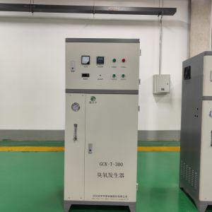 冠宇200g空气型臭氧发生器 水产养殖水消毒 污水处理 厂家供应