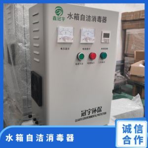 冠宇环保碳钢不锈钢消防水箱外置式自洁消毒器带PLC控制