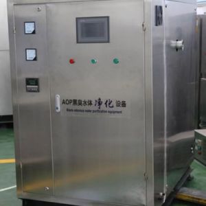 羟基自由基 氧化aop净化饮用水污水河道水等水体净化灭菌设备