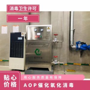 冠宇环保AOP催化净化设备泳池水除藻杀菌上门安装