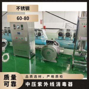 冠宇牌3KW中压紫外线消毒器市政供水操作简单先货直发