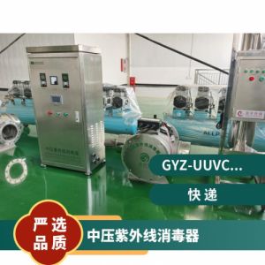 鑫冠宇2KW中压紫外线消毒器进口灯管市政供水支持定制