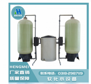 大型全自动软化水设备原水处理设备厂家水除垢设备提供安装售后