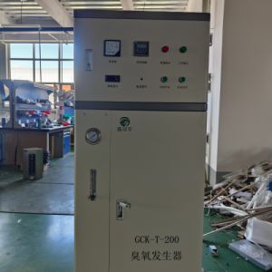 国林臭氧发生器 高浓度氧气型臭氧设备 100g 支持定制 运行温度